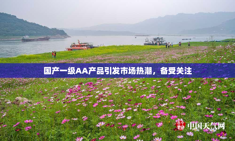 国产一级AA产品引发市场热潮，备受关注