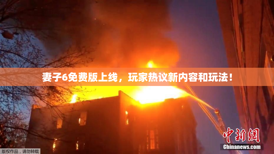 妻子6免费版上线，玩家热议新内容和玩法！