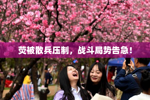 荧被散兵压制，战斗局势告急！