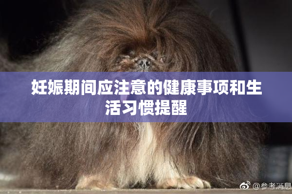 妊娠期间应注意的健康事项和生活习惯提醒