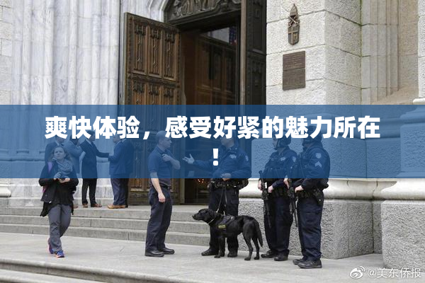 爽快体验，感受好紧的魅力所在！