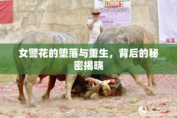 女警花的堕落与重生，背后的秘密揭晓