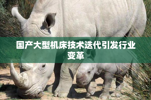 国产大型机床技术迭代引发行业变革