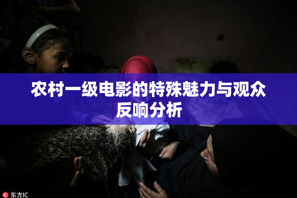 农村一级电影的特殊魅力与观众反响分析