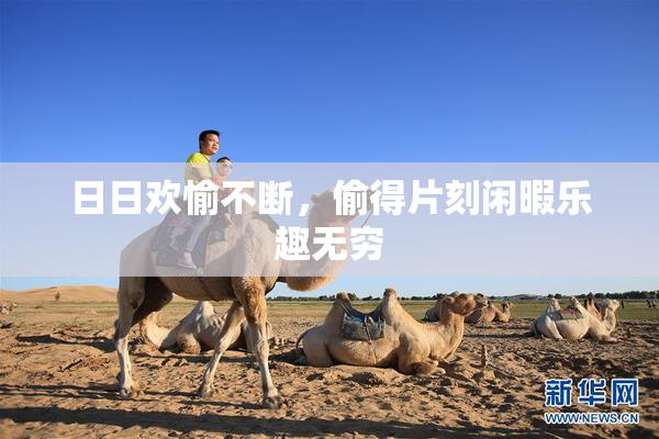 日日欢愉不断，偷得片刻闲暇乐趣无穷