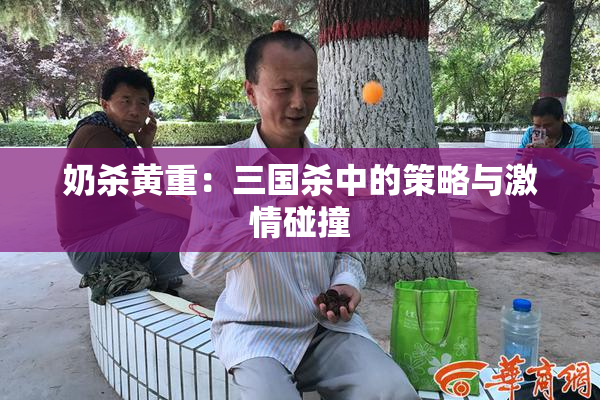 奶杀黄重：三国杀中的策略与激情碰撞
