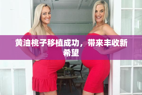 黄油桃子移植成功，带来丰收新希望