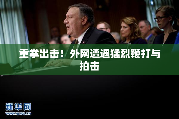 重拳出击！外网遭遇猛烈鞭打与拍击