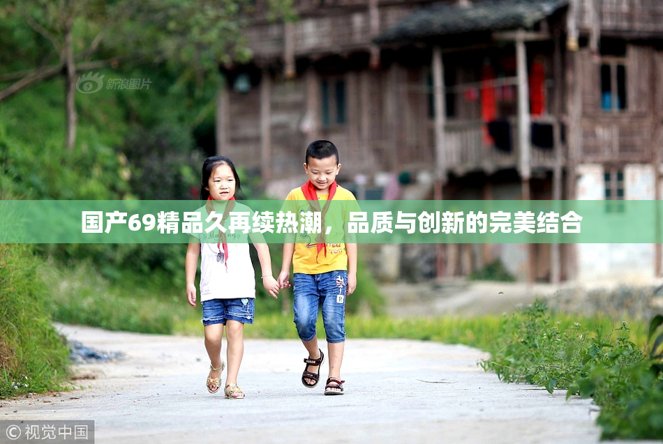 国产69精品久再续热潮，品质与创新的完美结合