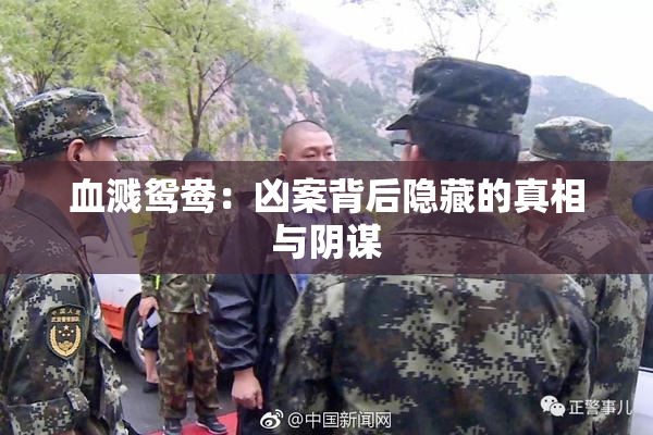 血溅鸳鸯：凶案背后隐藏的真相与阴谋