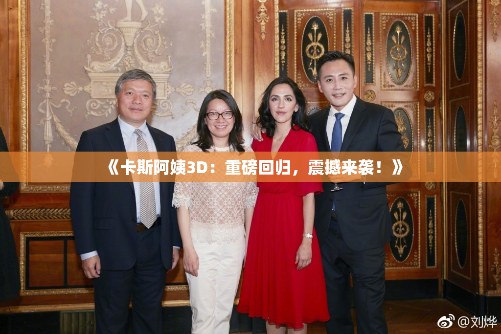 《卡斯阿姨3D：重磅回归，震撼来袭！》