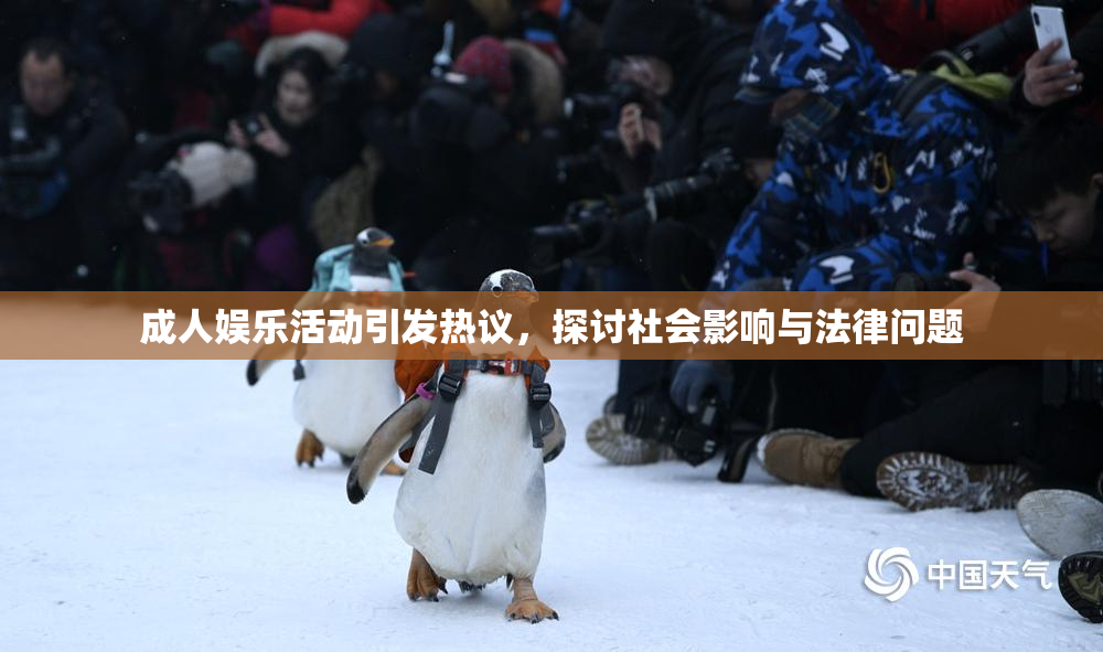 成人娱乐活动引发热议，探讨社会影响与法律问题