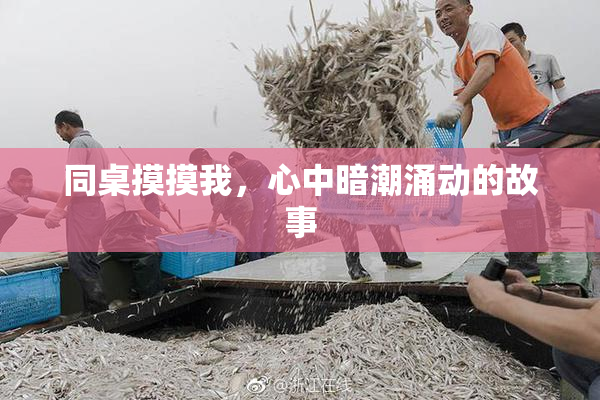 同桌摸摸我，心中暗潮涌动的故事