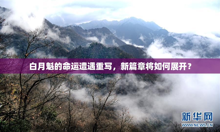 白月魁的命运遭遇重写，新篇章将如何展开？