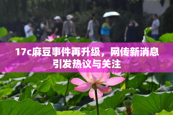17c麻豆事件再升级，网传新消息引发热议与关注