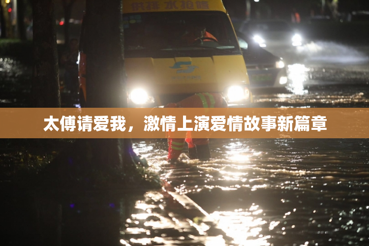 太傅请爱我，激情上演爱情故事新篇章