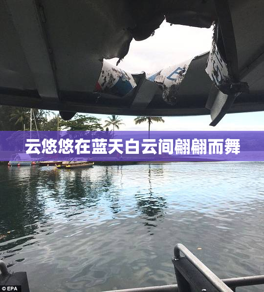 云悠悠在蓝天白云间翩翩而舞