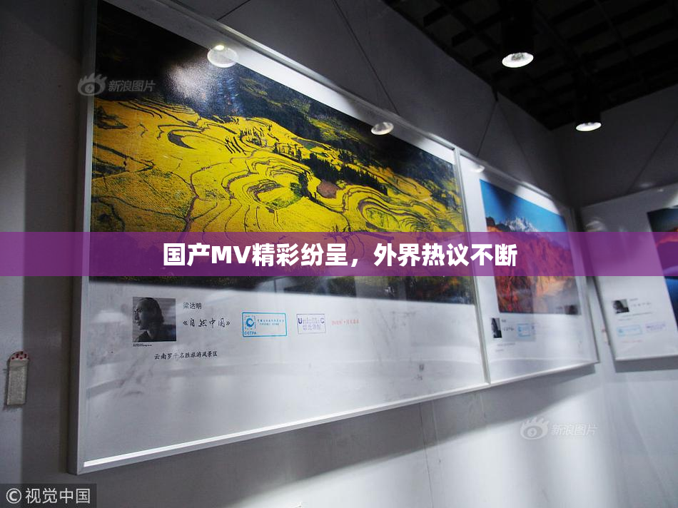 国产MV精彩纷呈，外界热议不断