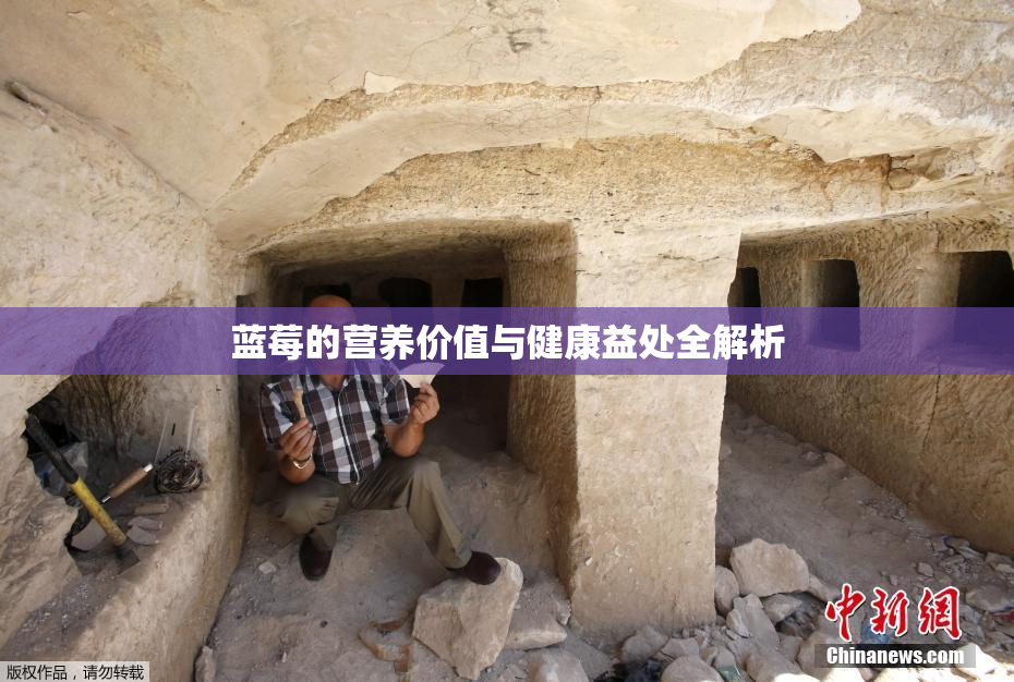 蓝莓的营养价值与健康益处全解析