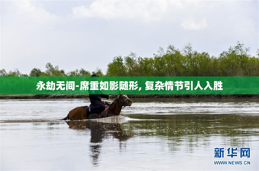 永劫无间-席重如影随形, 复杂情节引人入胜
