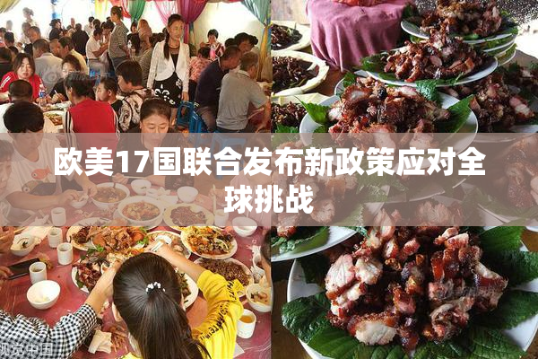 欧美17国联合发布新政策应对全球挑战
