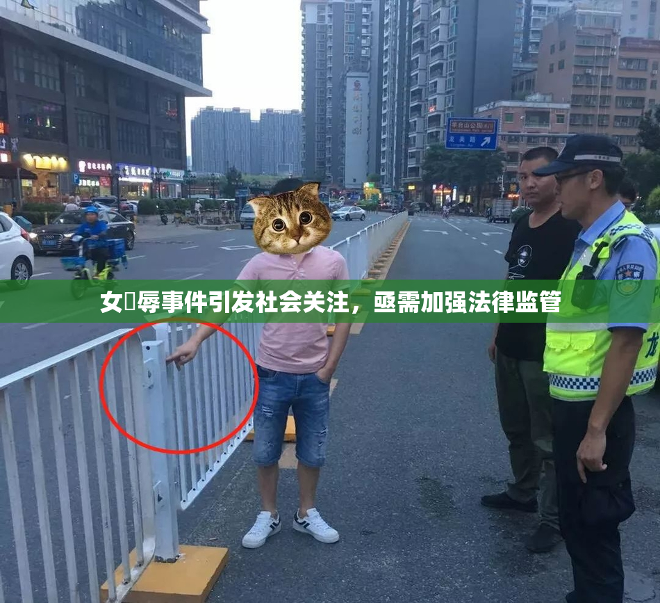女婬辱事件引发社会关注，亟需加强法律监管