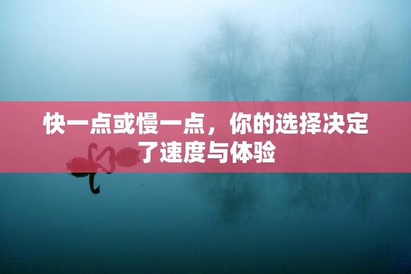 快一点或慢一点，你的选择决定了速度与体验