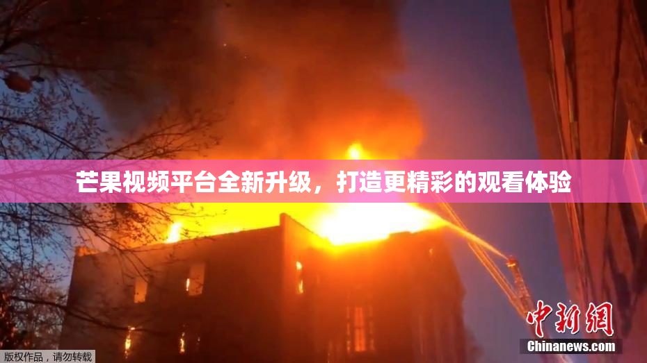 芒果视频平台全新升级，打造更精彩的观看体验
