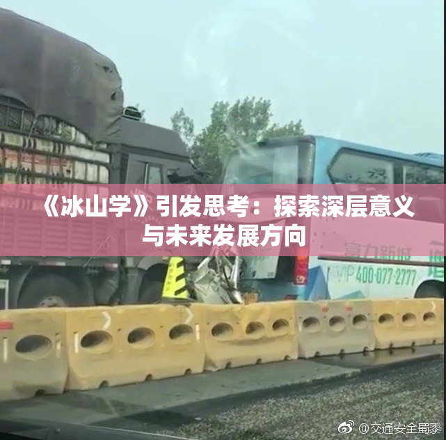 《冰山学》引发思考：探索深层意义与未来发展方向