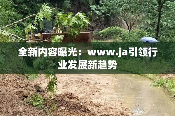 全新内容曝光：www.ja引领行业发展新趋势