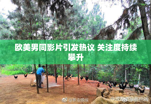 欧美男同影片引发热议 关注度持续攀升