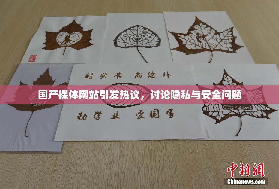 国产裸体网站引发热议，讨论隐私与安全问题