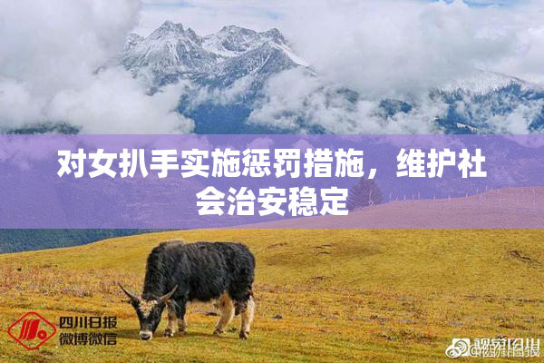 对女扒手实施惩罚措施，维护社会治安稳定