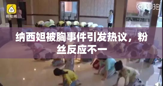 纳西妲被胸事件引发热议，粉丝反应不一