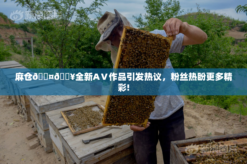 麻仓🖤🔥全新AⅤ作品引发热议，粉丝热盼更多精彩!