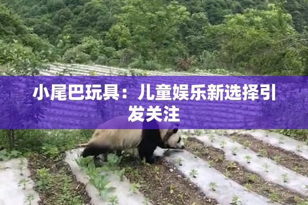 小尾巴玩具：儿童娱乐新选择引发关注