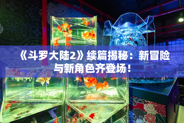 《斗罗大陆2》续篇揭秘：新冒险与新角色齐登场！