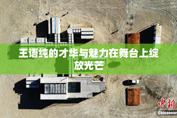 王语纯的才华与魅力在舞台上绽放光芒