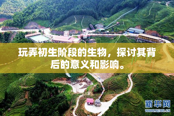 玩弄初生阶段的生物，探讨其背后的意义和影响。