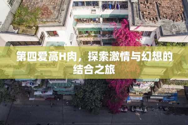 第四爱高H肉，探索激情与幻想的结合之旅