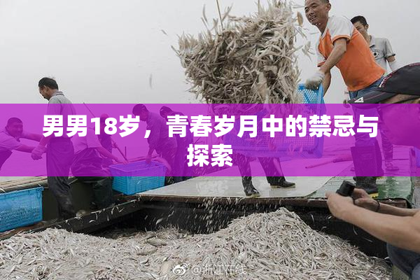 男男18岁，青春岁月中的禁忌与探索