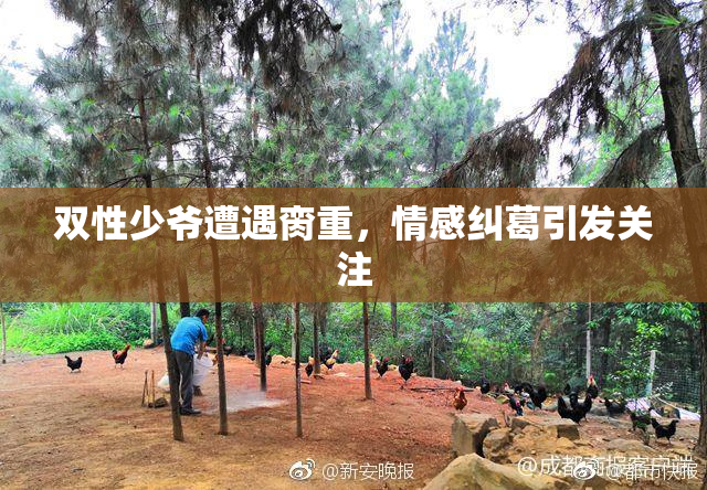 双性少爷遭遇脔重，情感纠葛引发关注