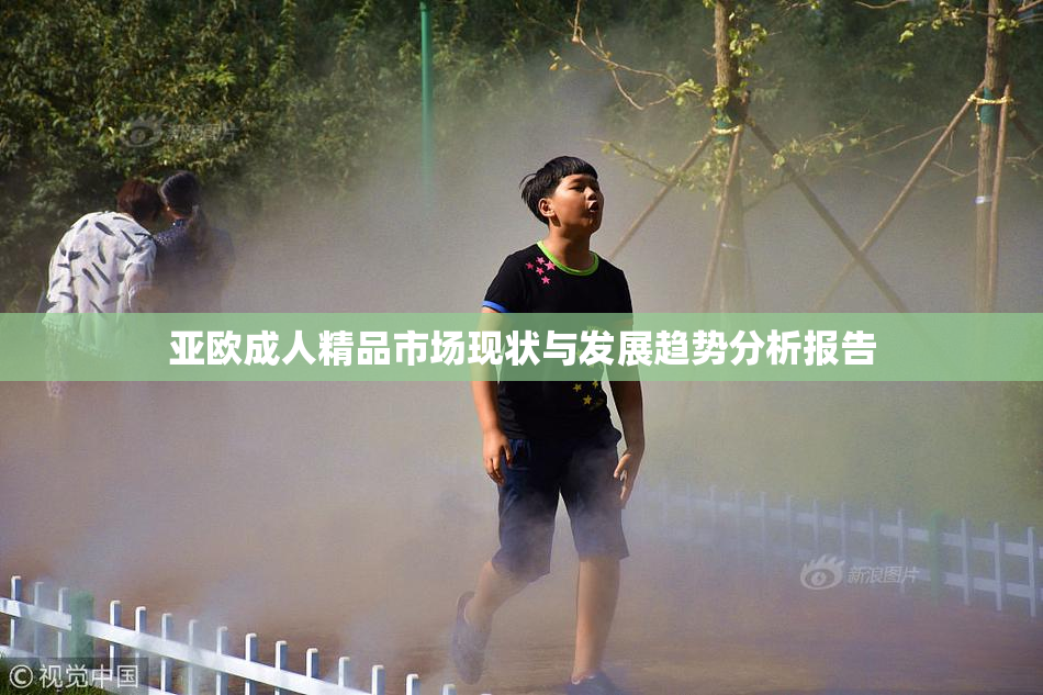 亚欧成人精品市场现状与发展趋势分析报告