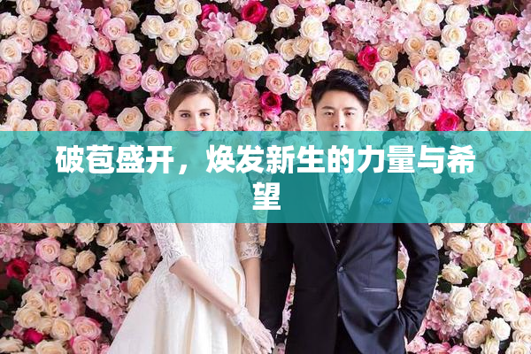 破苞盛开，焕发新生的力量与希望