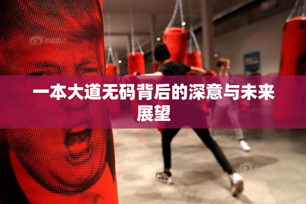 一本大道无码背后的深意与未来展望