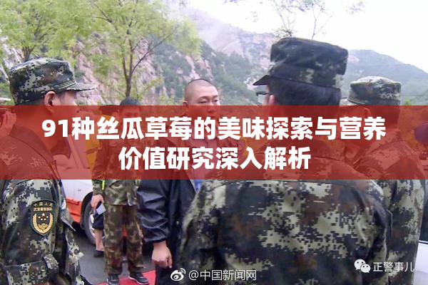 91种丝瓜草莓的美味探索与营养价值研究深入解析
