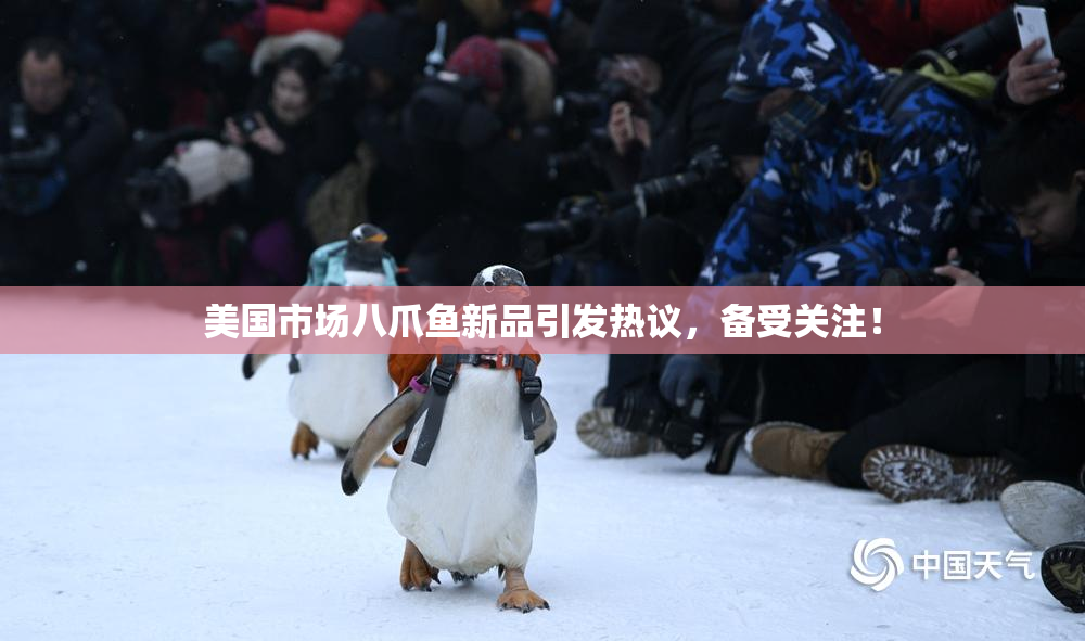 美国市场八爪鱼新品引发热议，备受关注！