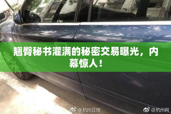 翘臀秘书灌满的秘密交易曝光，内幕惊人！