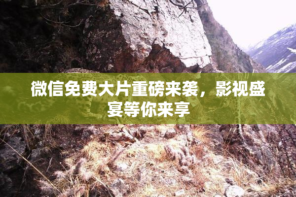 微信免费大片重磅来袭，影视盛宴等你来享