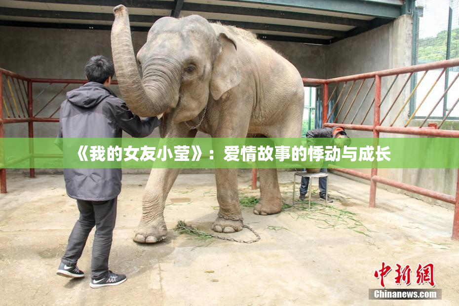 《我的女友小莹》：爱情故事的悸动与成长